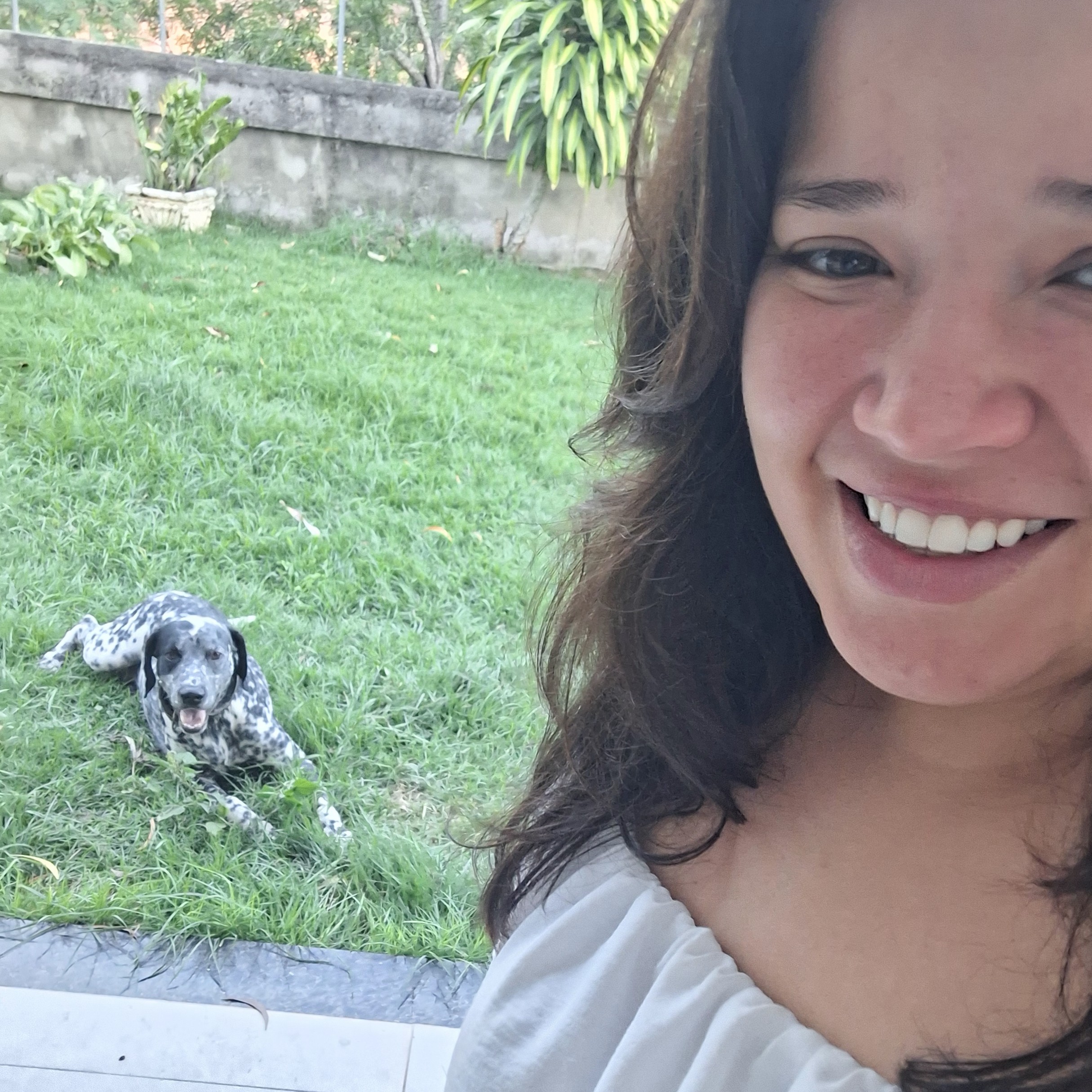 Pet Sitter- cuido do seu pet na sua casa