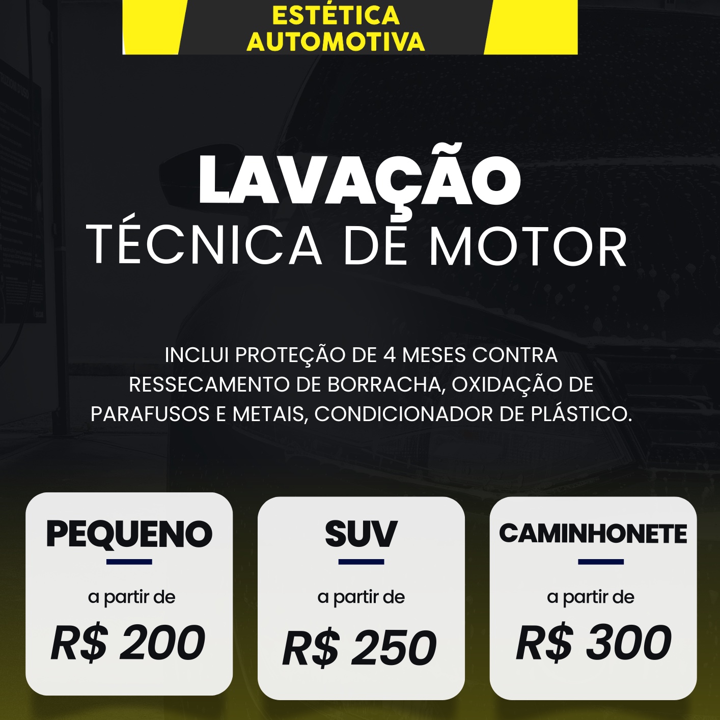 Lavação técnica de motor caminhonete