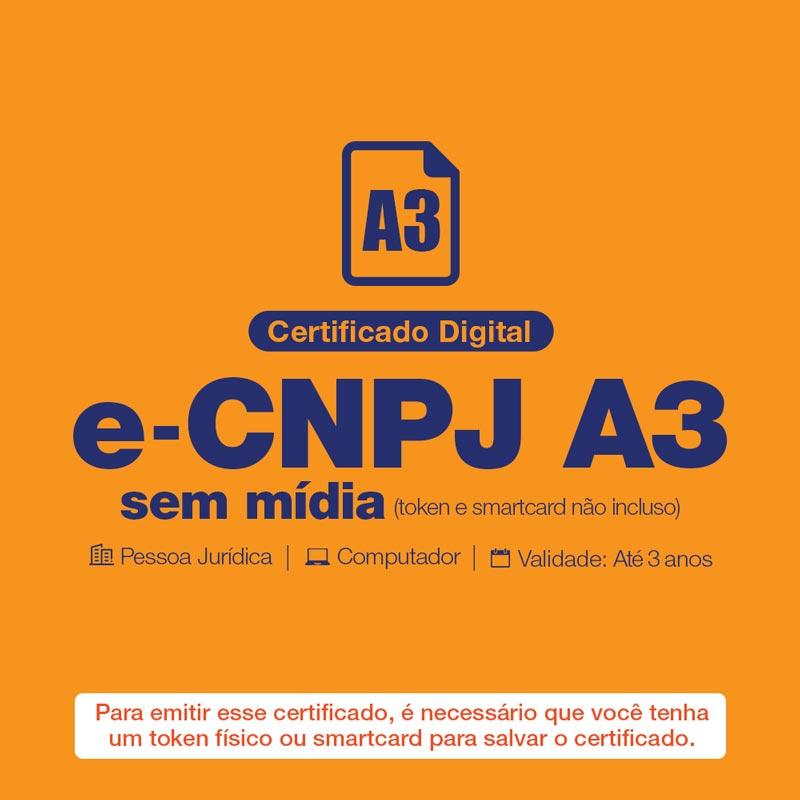 e-CNPJ A3 ( token ou smartcard não incluso )