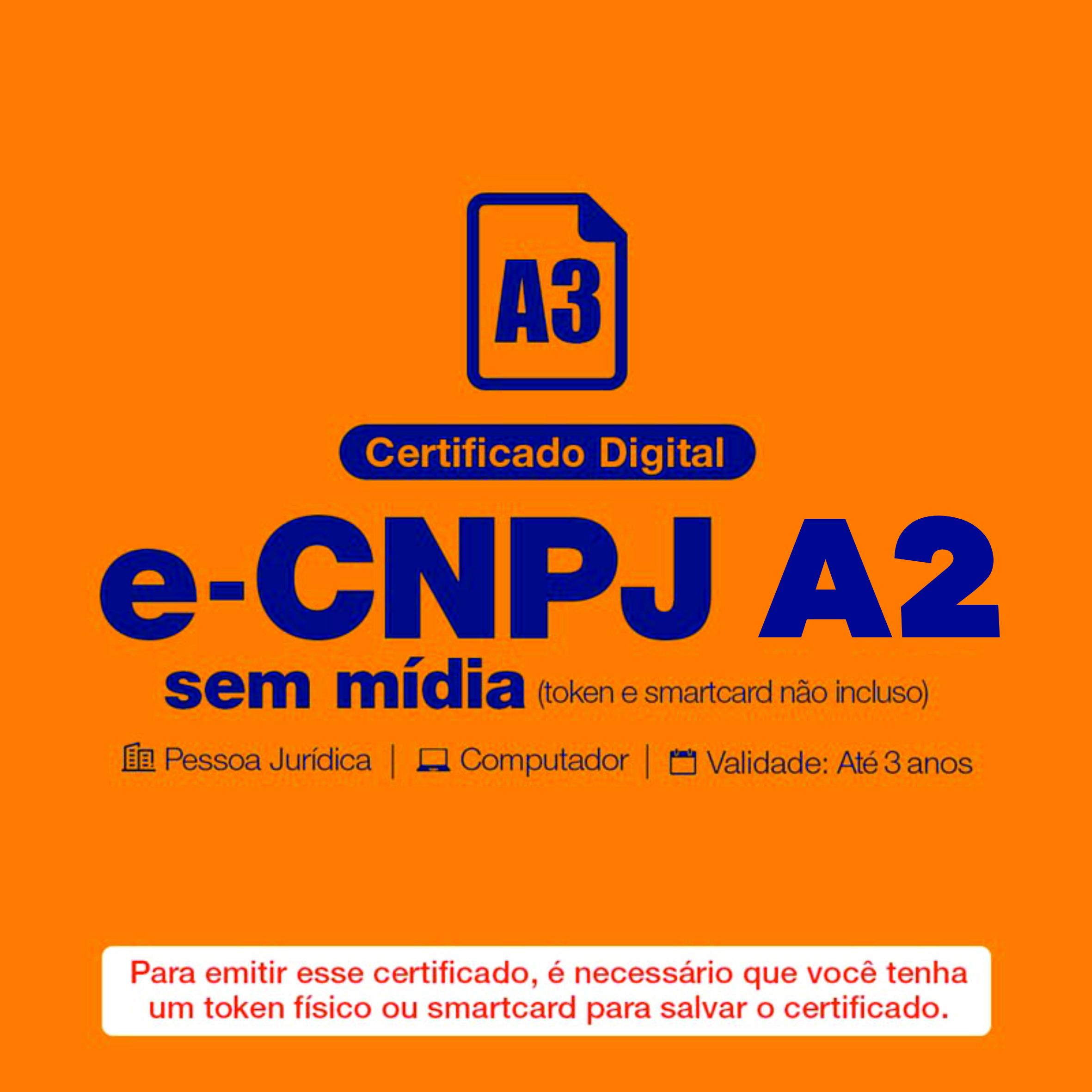 e-CNPJ A2 ( token ou smartcard não incluso )