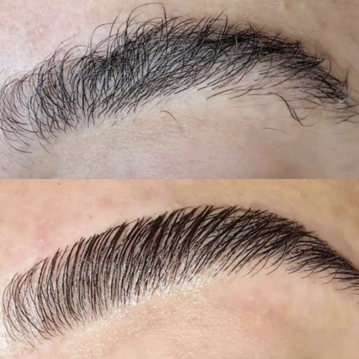 brow lamination