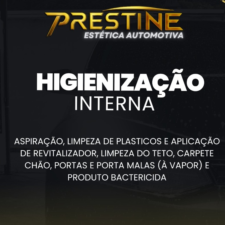 Higienização Interna