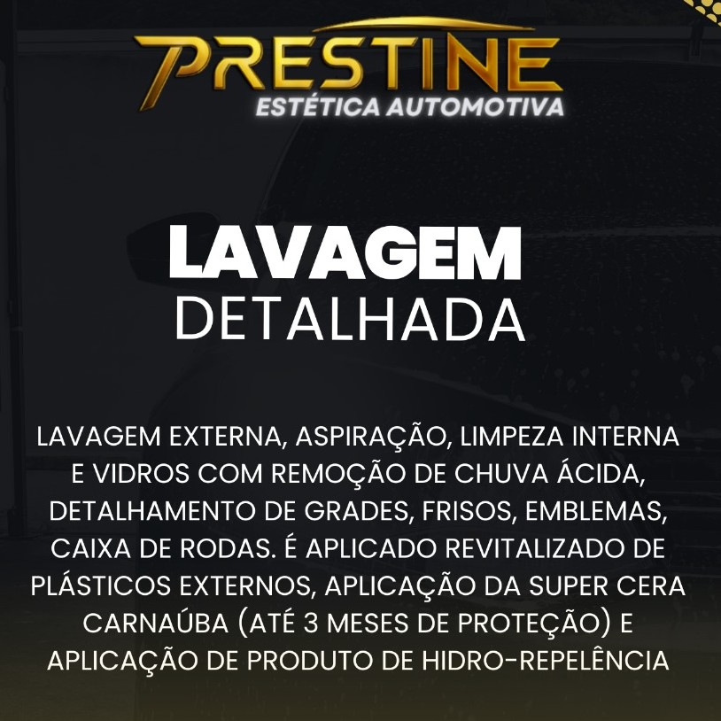 Lavagem Detalhada