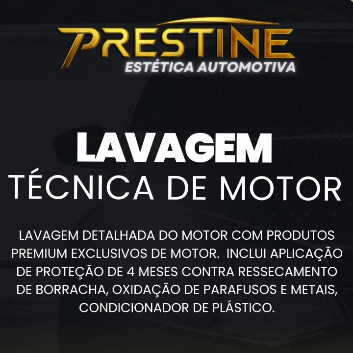 Lavagem Técnica de Motor