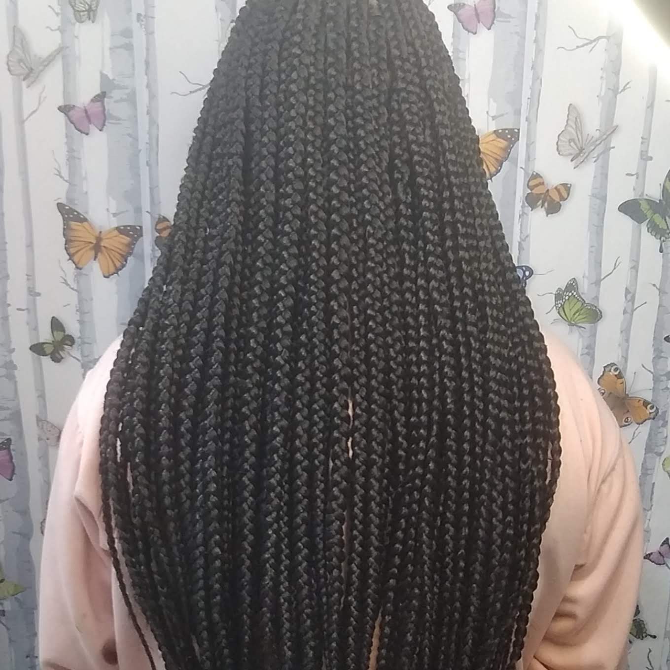 box braids ou Twist sem material