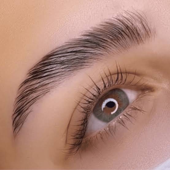 Brow Lamination + Design Personalizado + Color Brows
