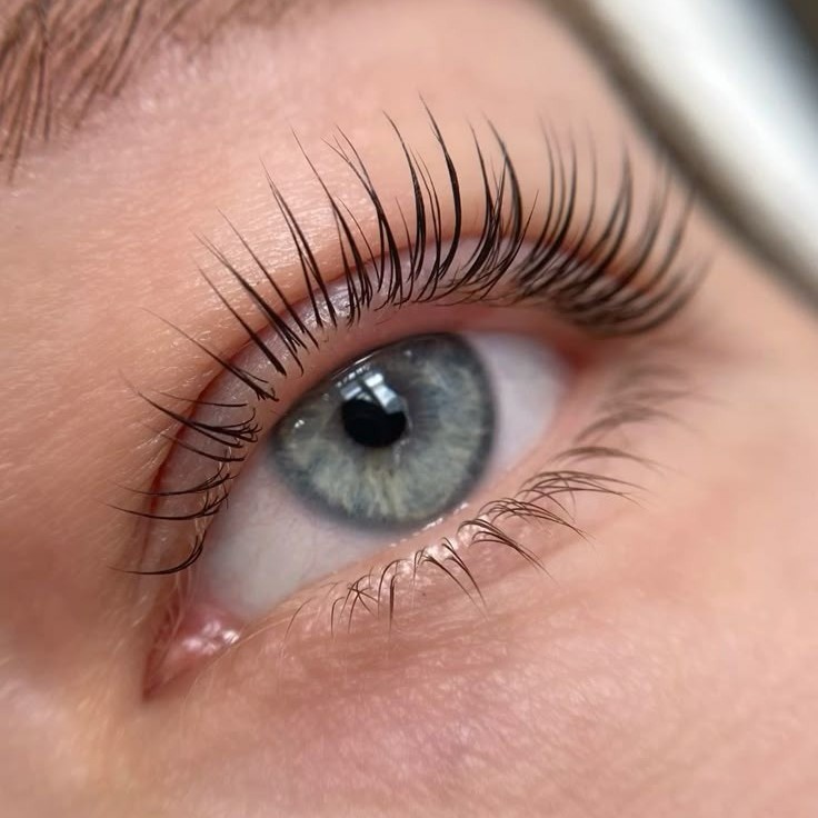Lash Lifting