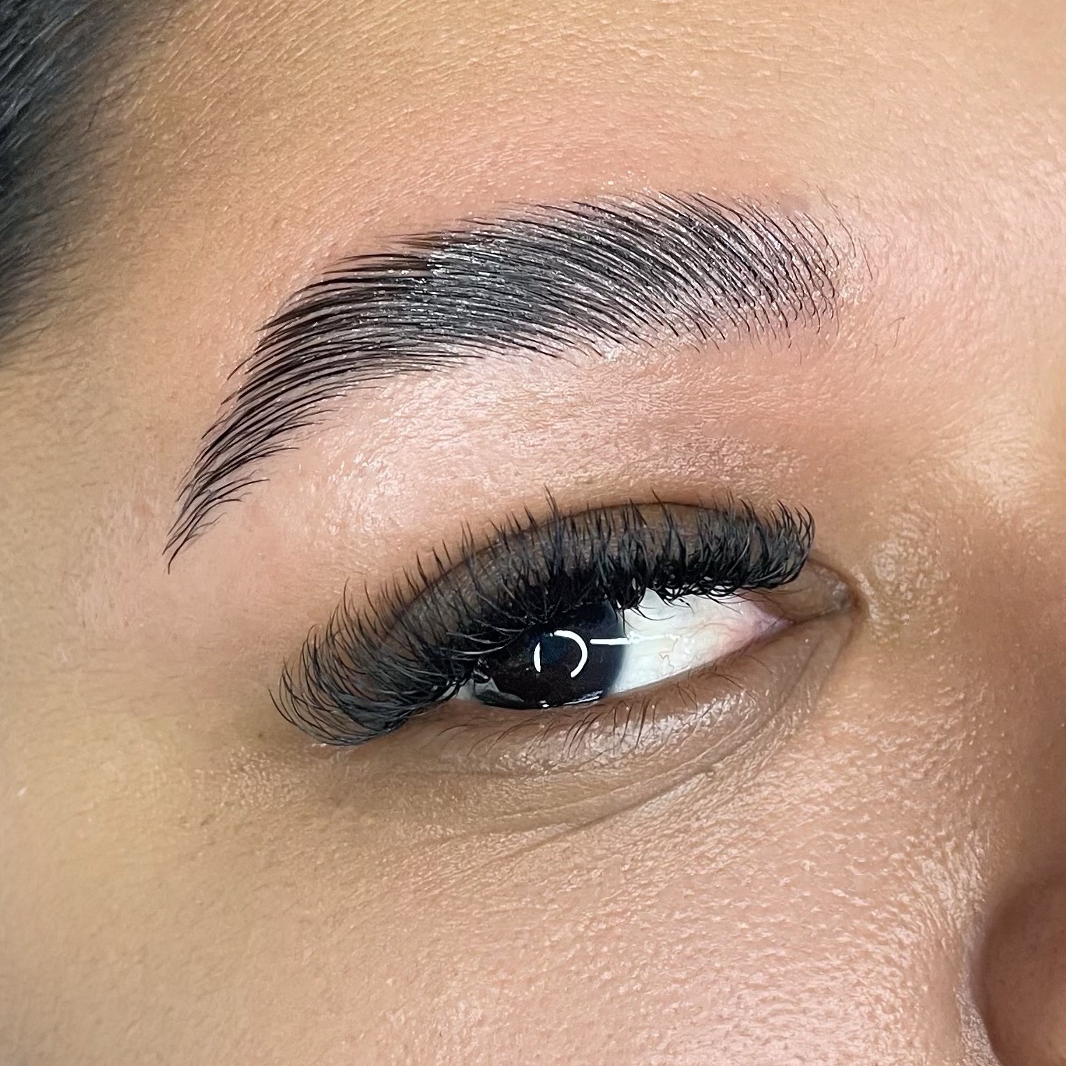 Brow Lamination sem coloração