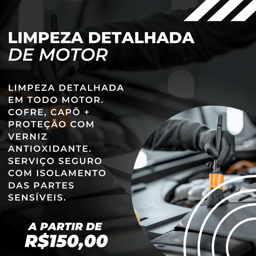 limpeza detalhada de motor apartir