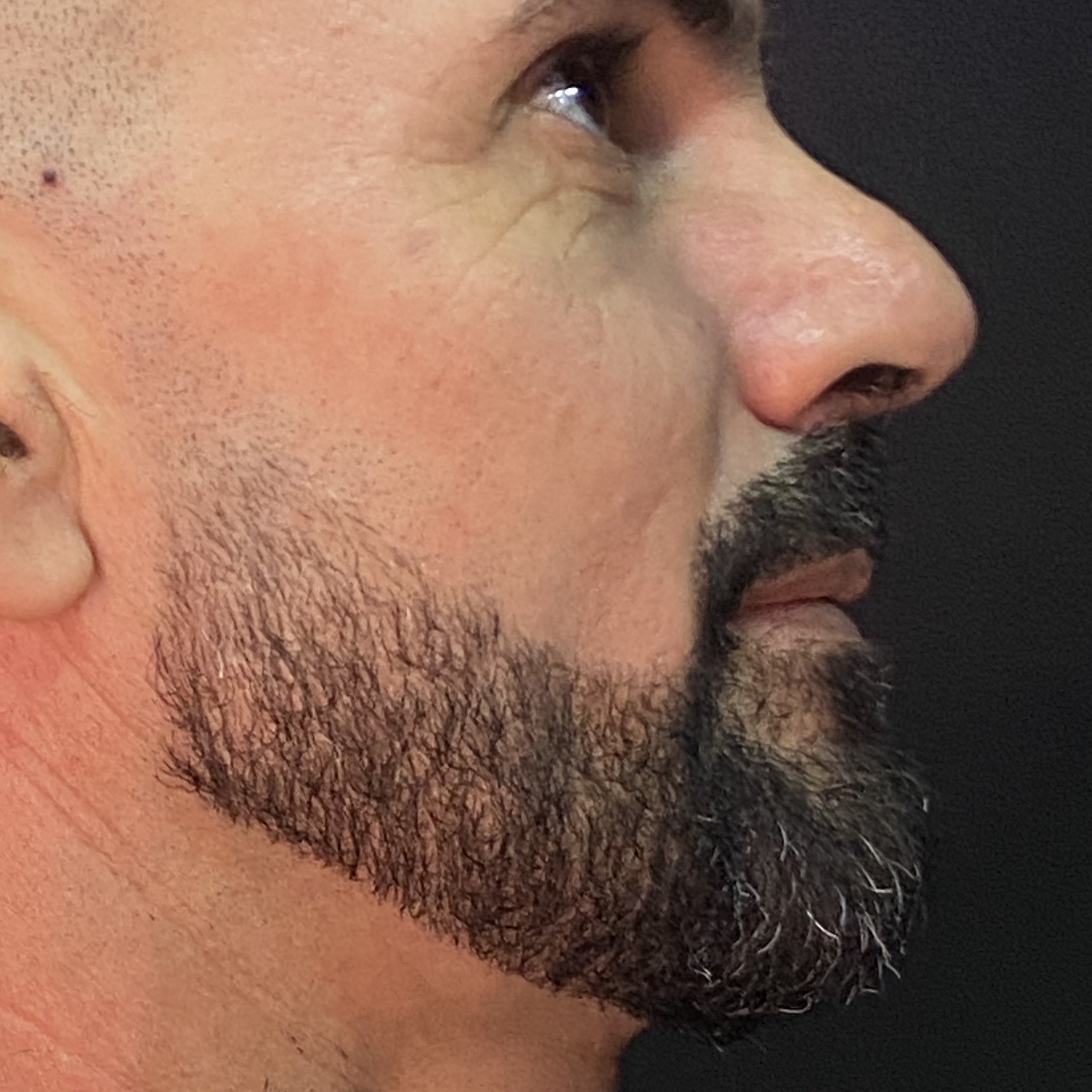 Barba