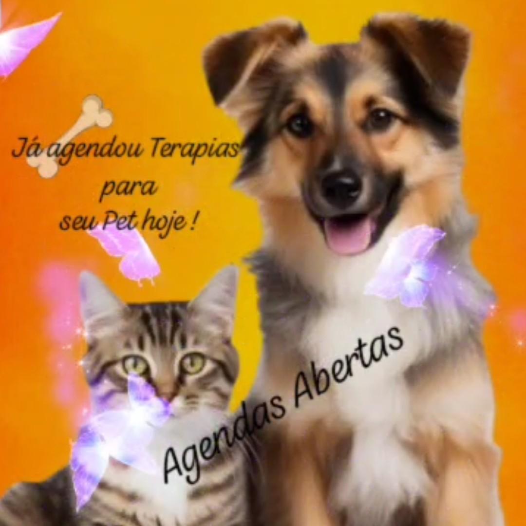 terapias alternativas para pets