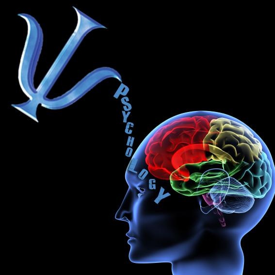 Sessão de psicoterapia mês de julho