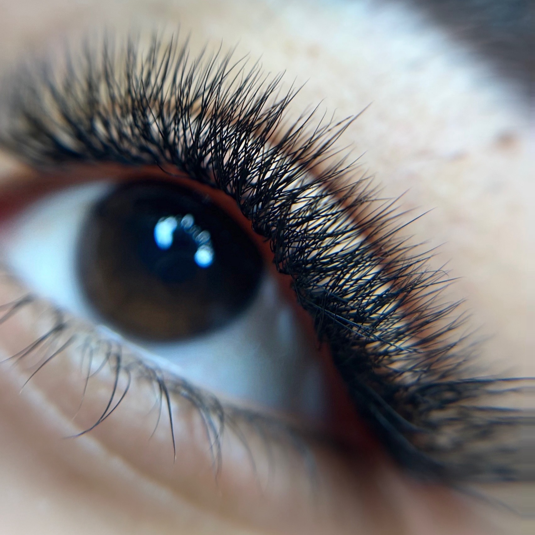 Fox Eyes