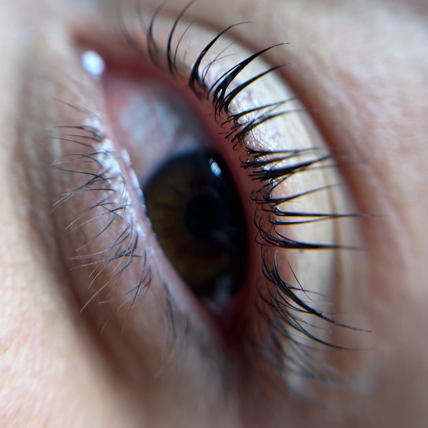 Lash Lifting