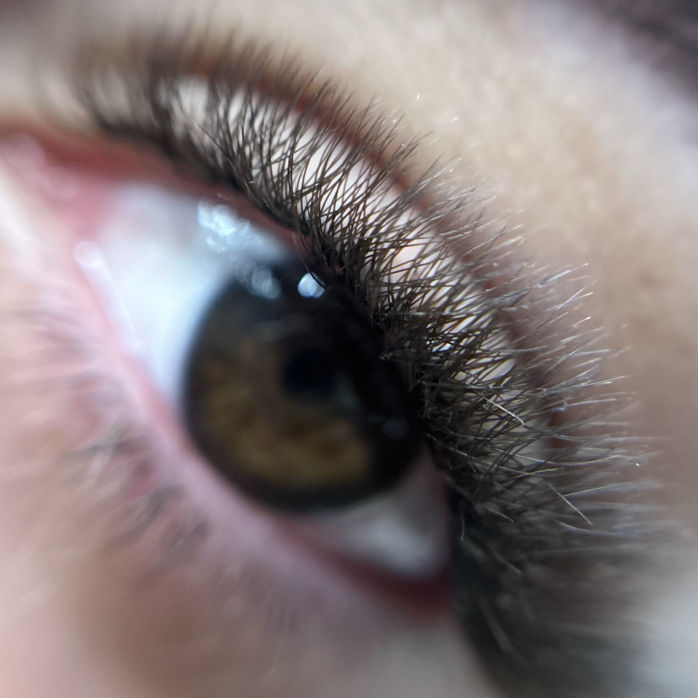 Fox Eyes Brow
