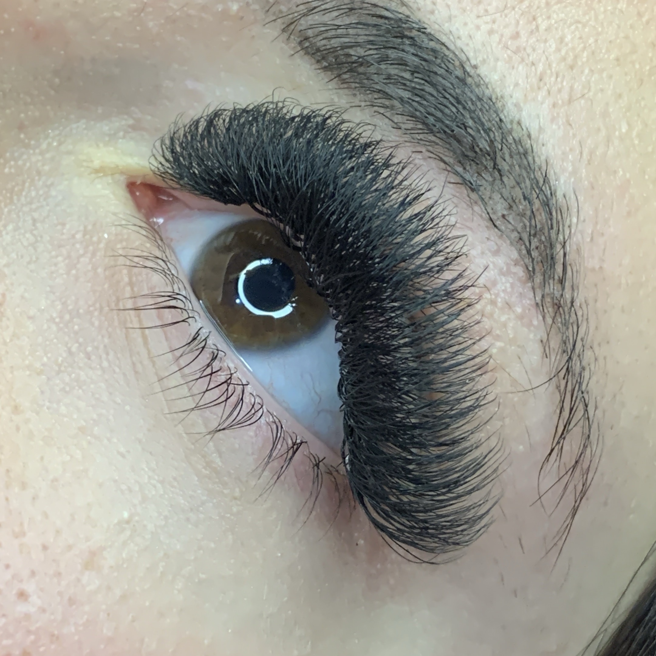 volume Mega Egípcio