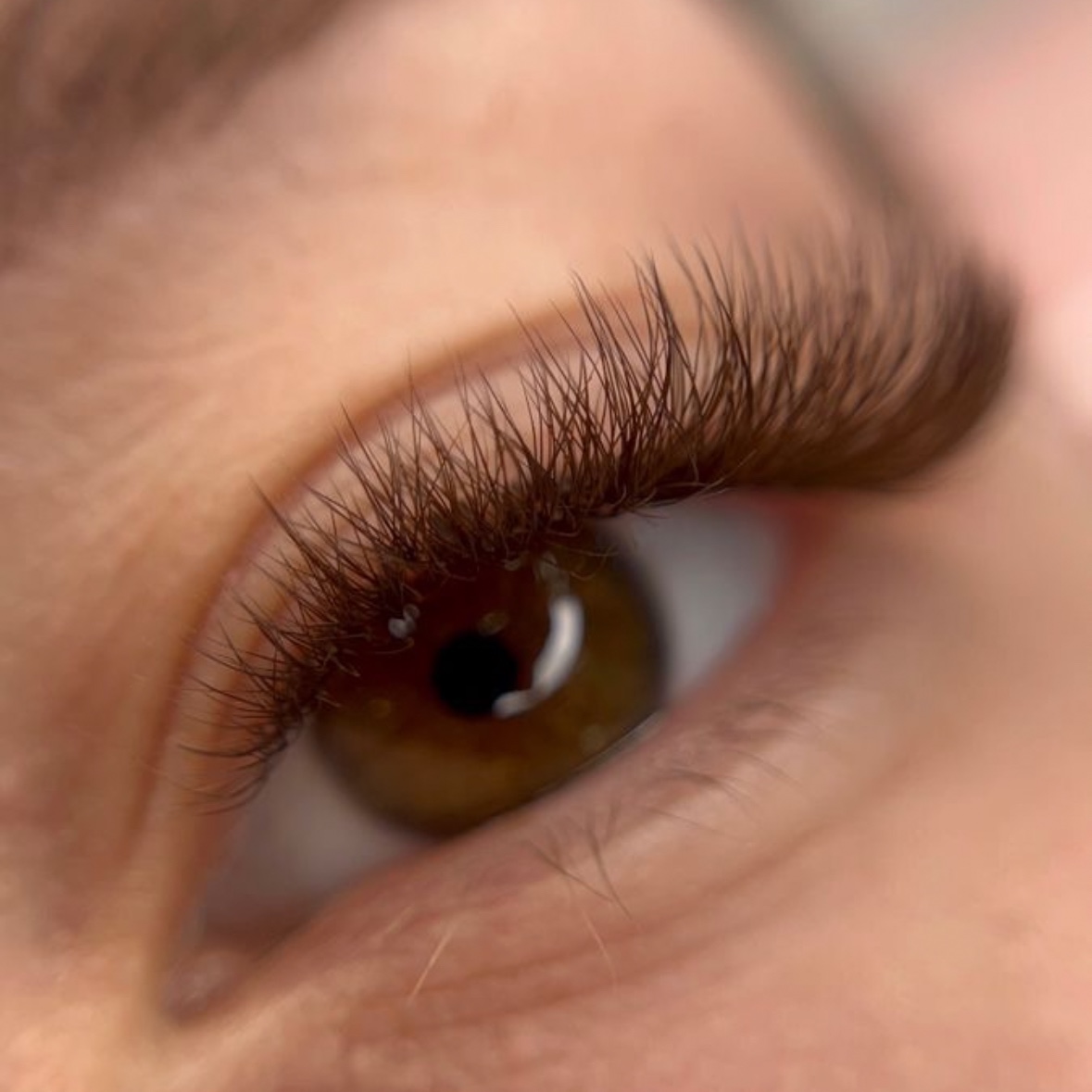 Volume Brown