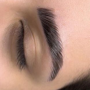 brow lamination
