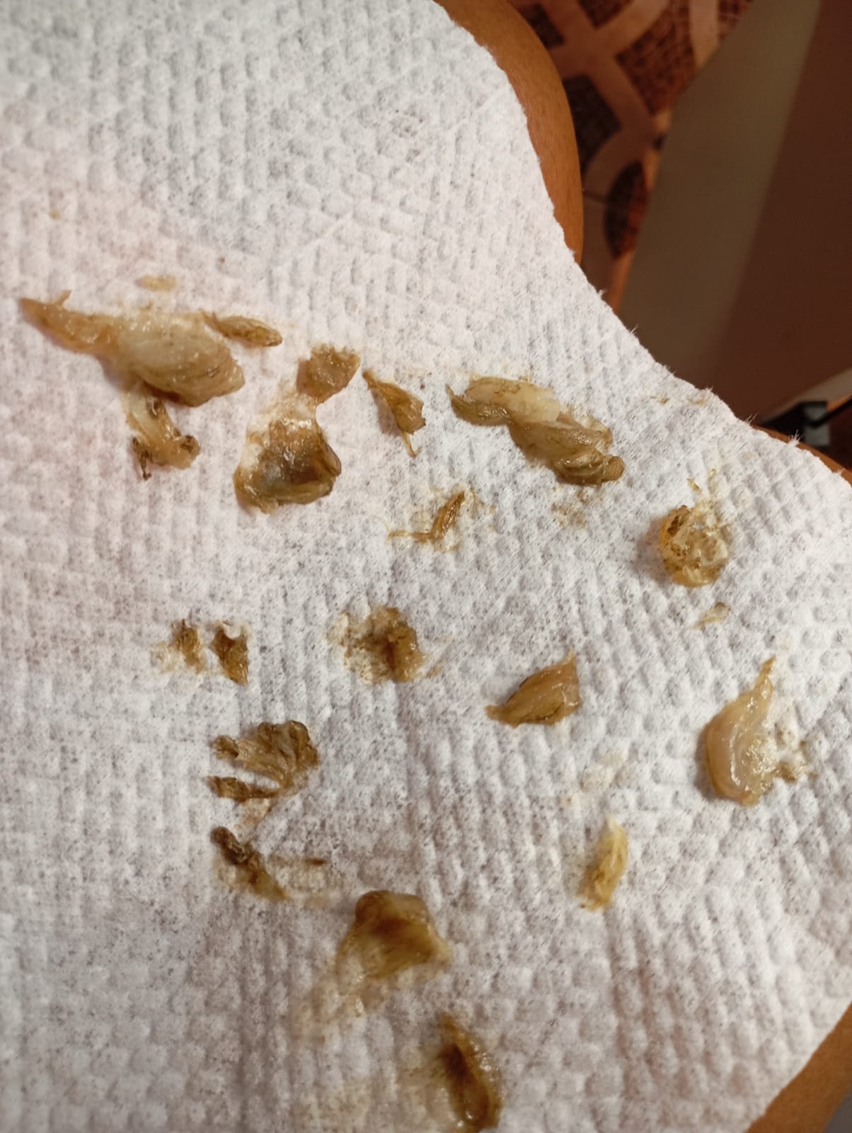 SPA dos pés +manicure e pedicure tradicional