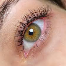 MANUTENÇÃO -  Extensão Clássica - FIO A FIO