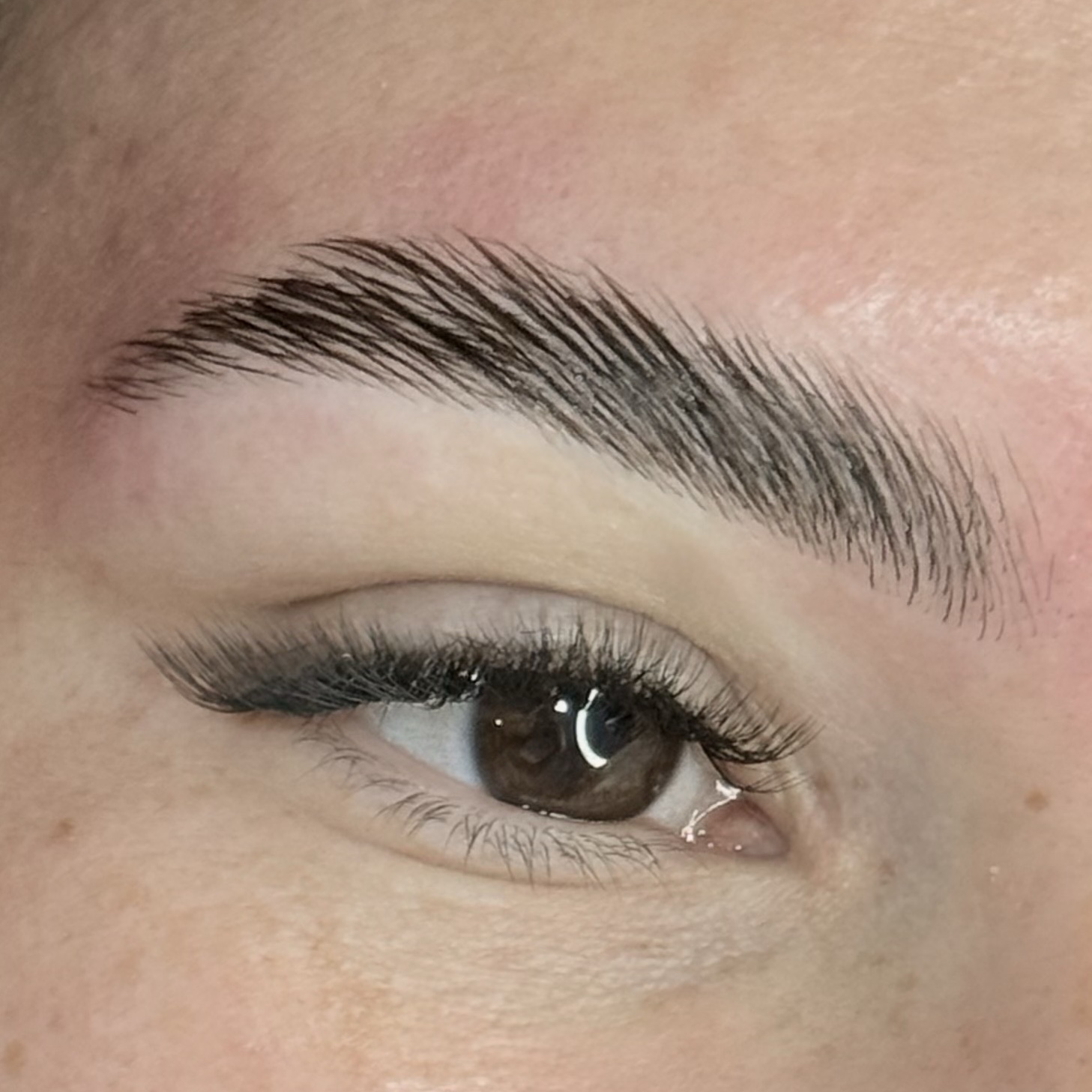 Design Reconstrutor Brow Lamination