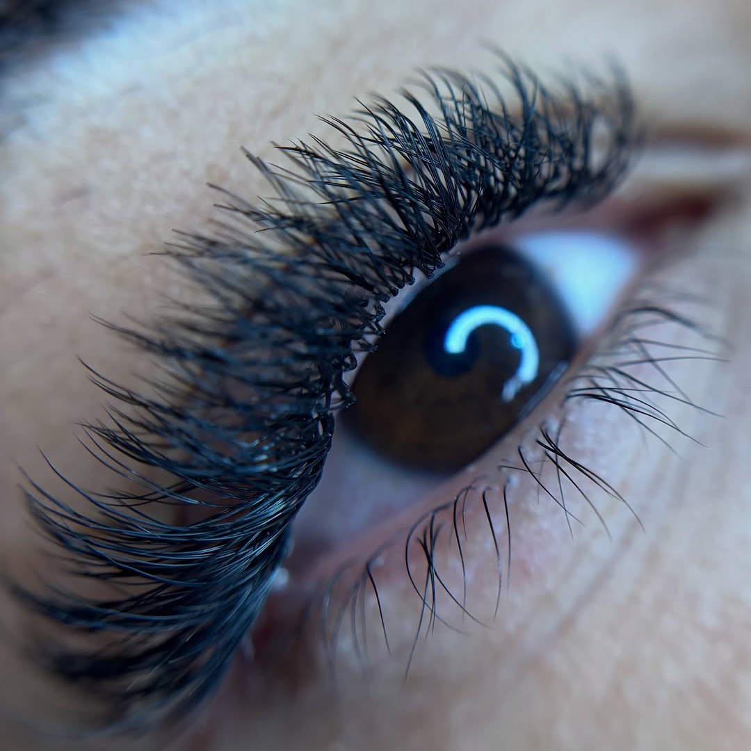 ✨ Volume Brasileiro ✨