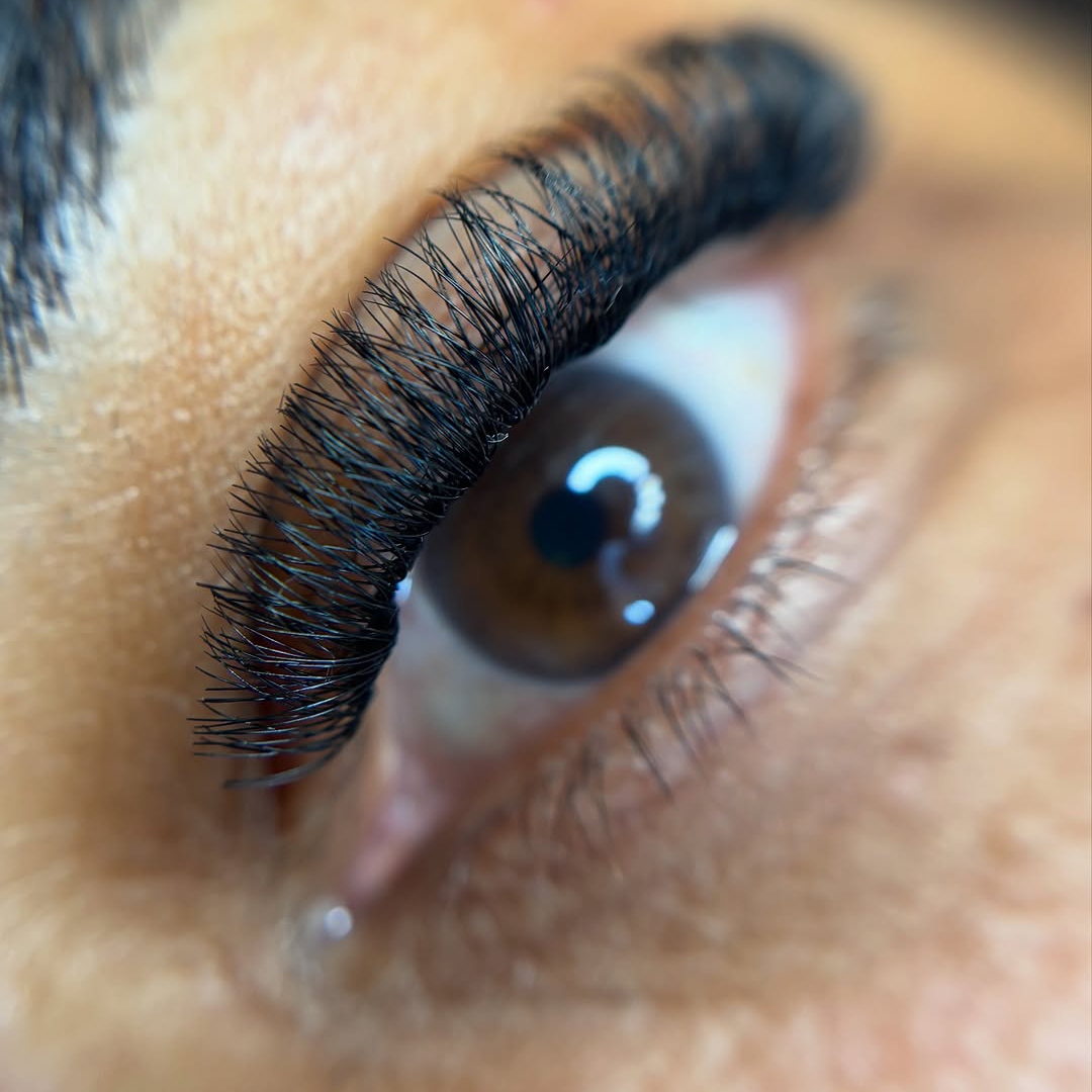 ✨ Seda Clássico ✨