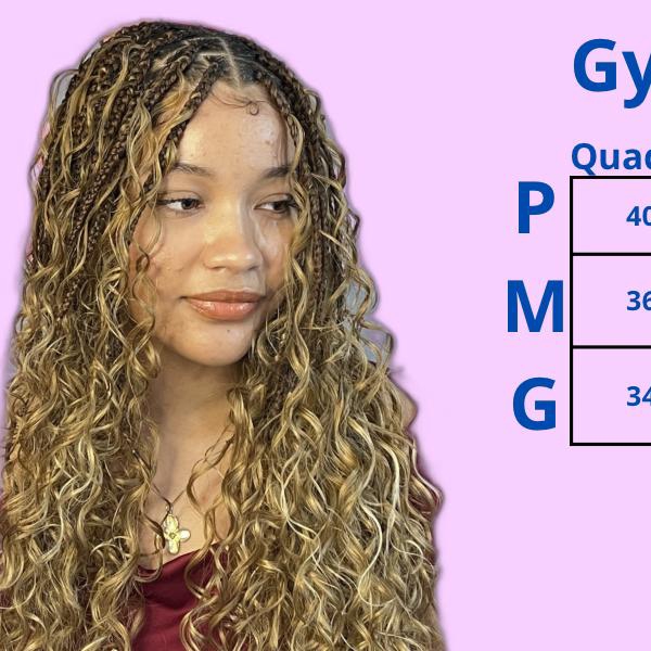 Gypsy Braids