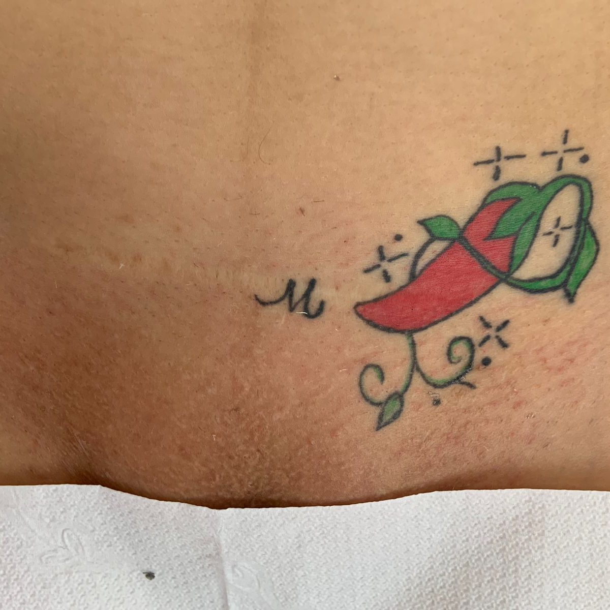 Epilação íntima (Feminina)