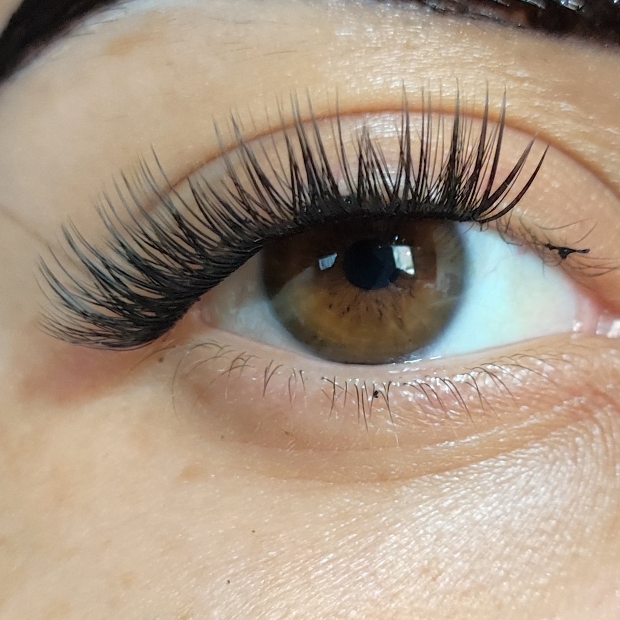Volume natural 1
