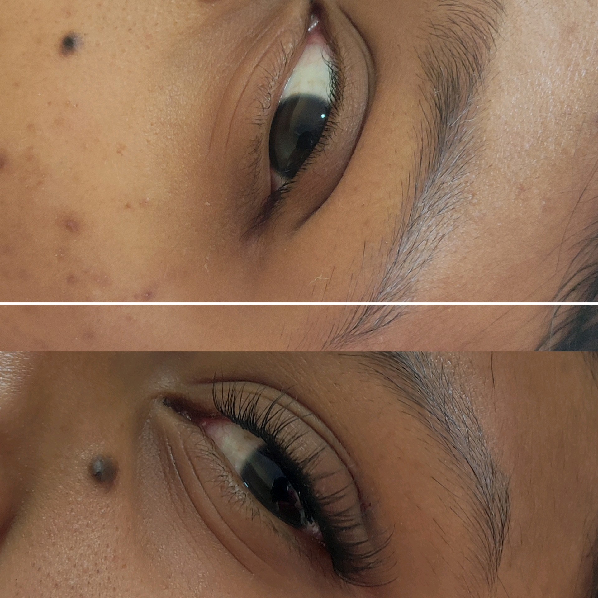 Volume Natural 2