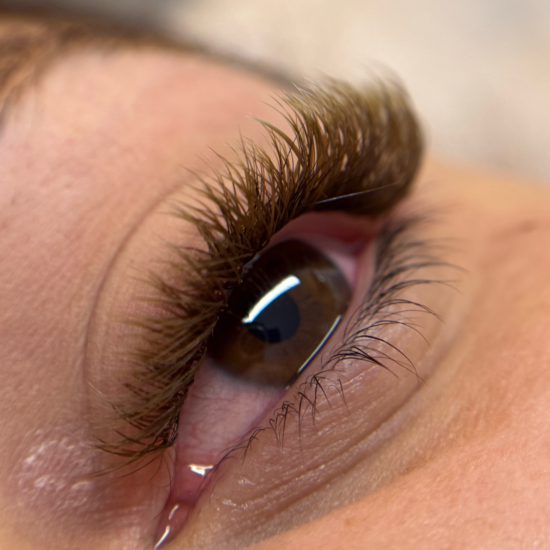 A volume brasileiro castanho claro