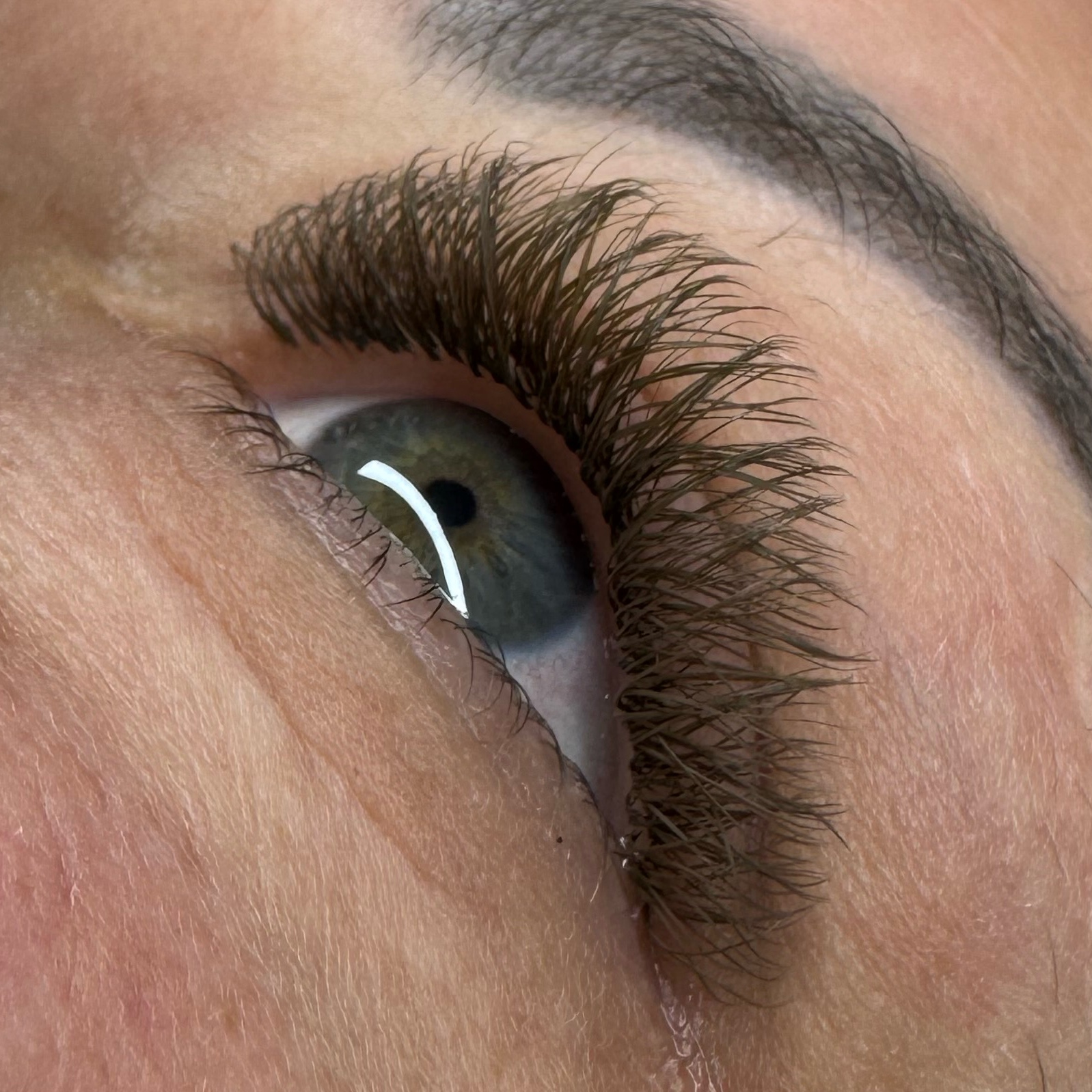 B volume brasileiro castanho escuro