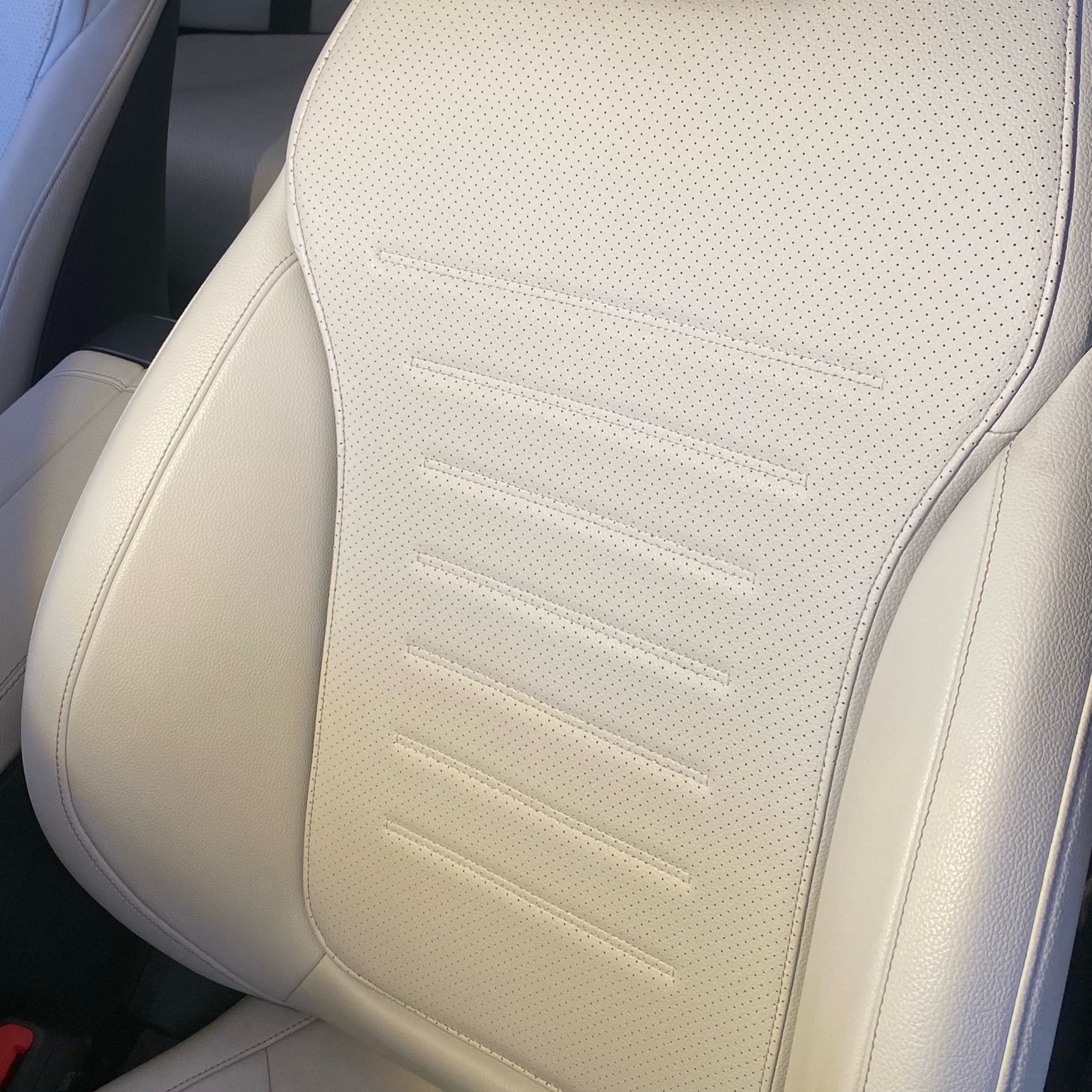 Higienização bancos