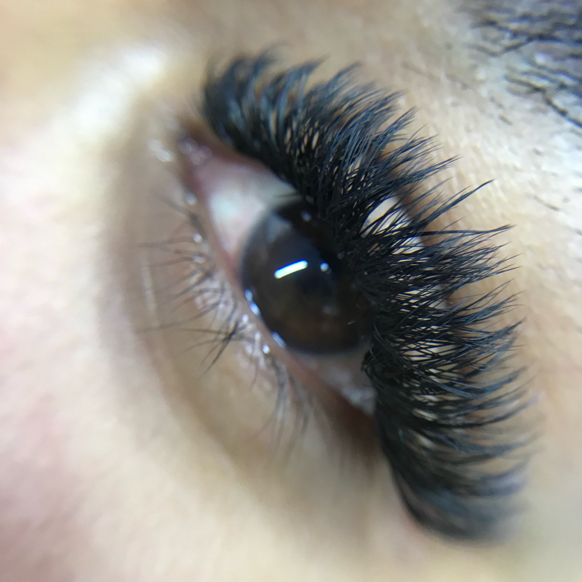 Manutenção Brasileiro