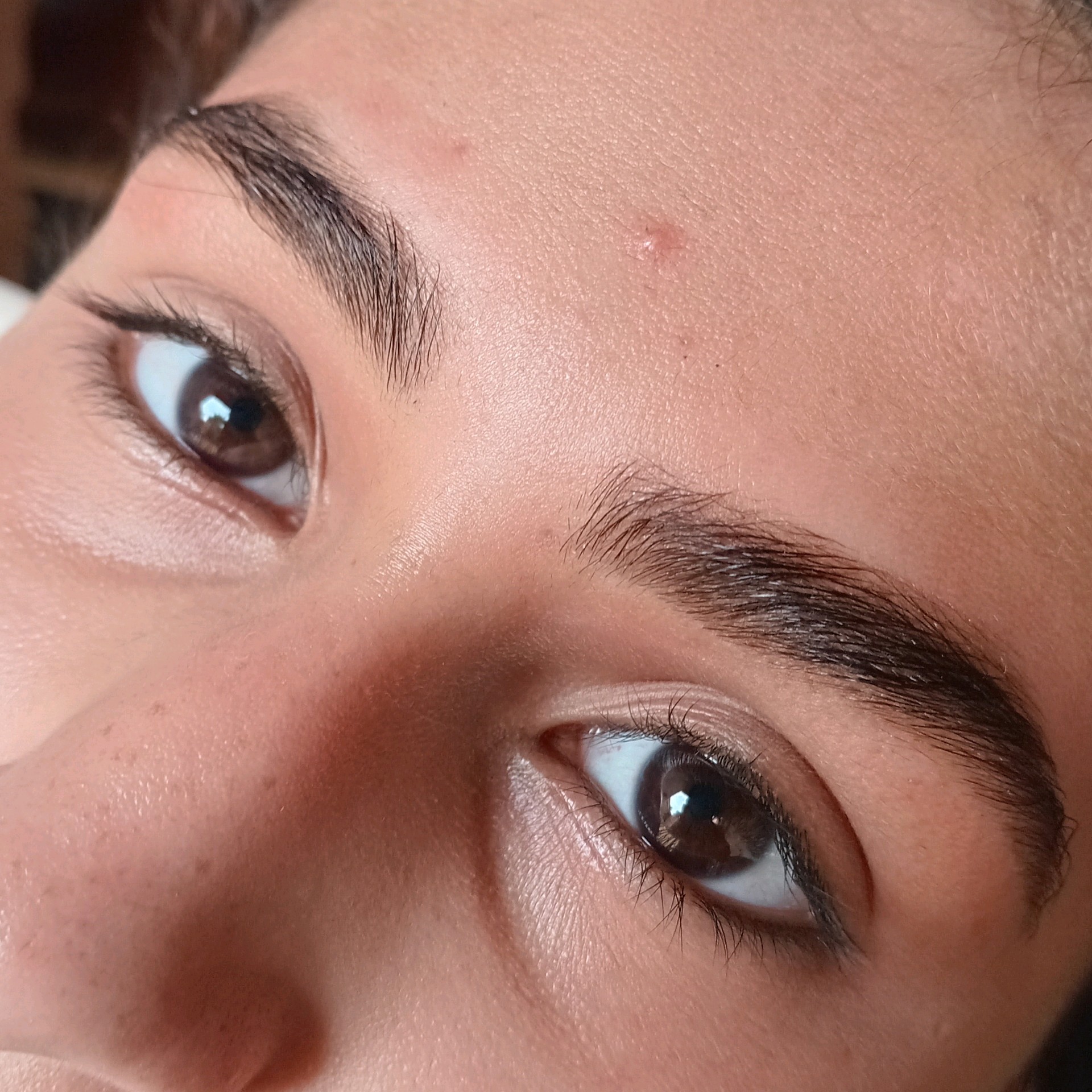 sobrancelha com Rena