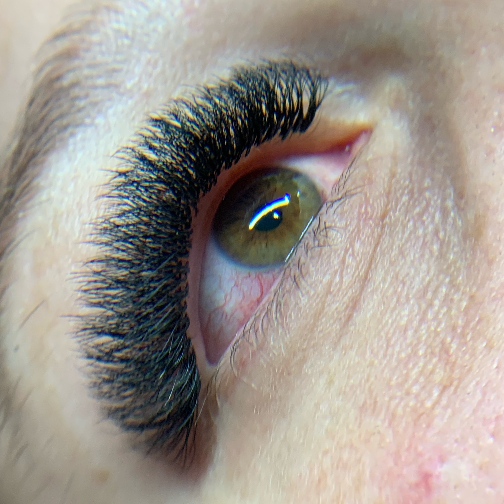 Manutenção volume Luxo