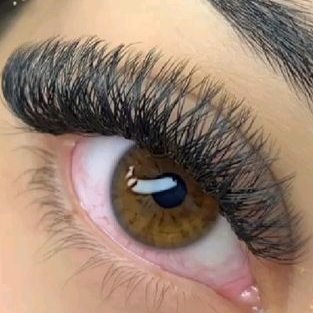 tufos tecnológicos modelo brasileiro