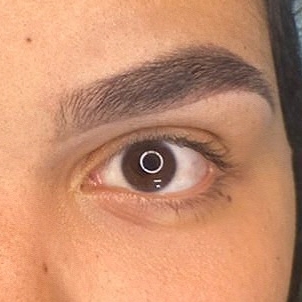 Designer de Sobrancelhas com Henna