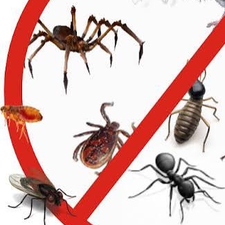 # dedetização residencial