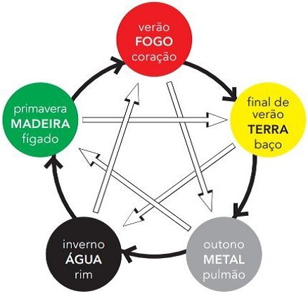 Consulta na Especialidade Medicina Tradicional Chinesa