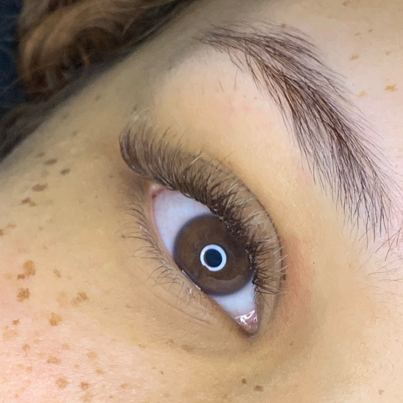 Volume brasileiro marrom