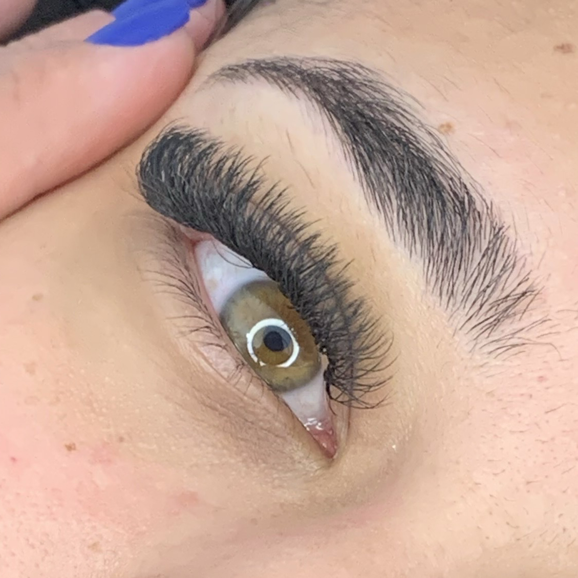 Volume egípcio duplo