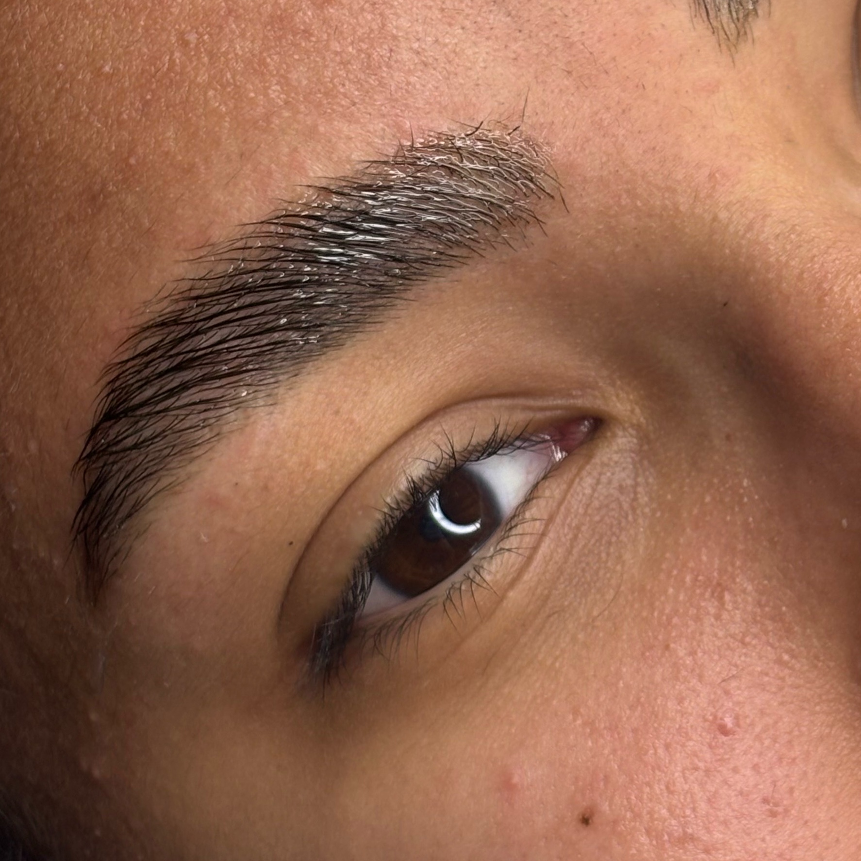 Brow Lamination