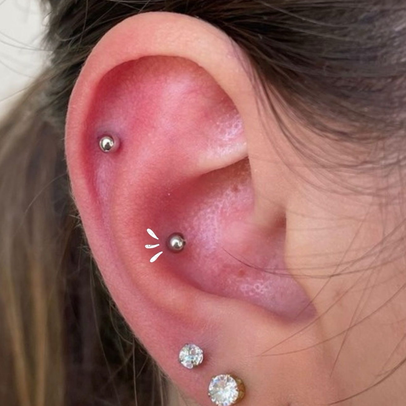 Conch (joia em aço cirúrgico)