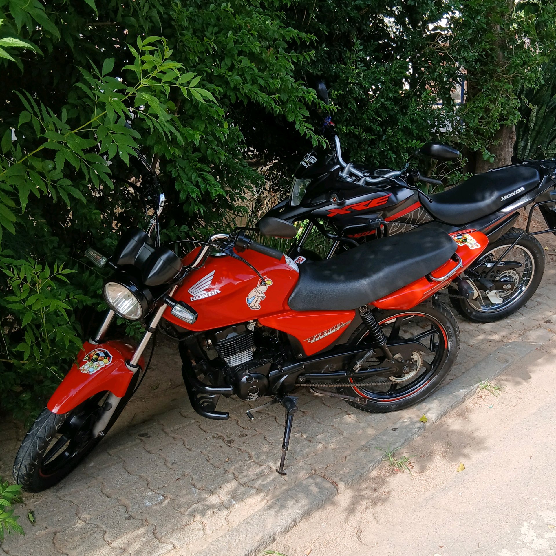Geral/ Moto