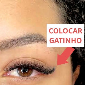 COLOCAR EFEITO GATINHO NOS CANTOS, (no mesmo horário da aplicação), sem precisar remover nada, só colocar.