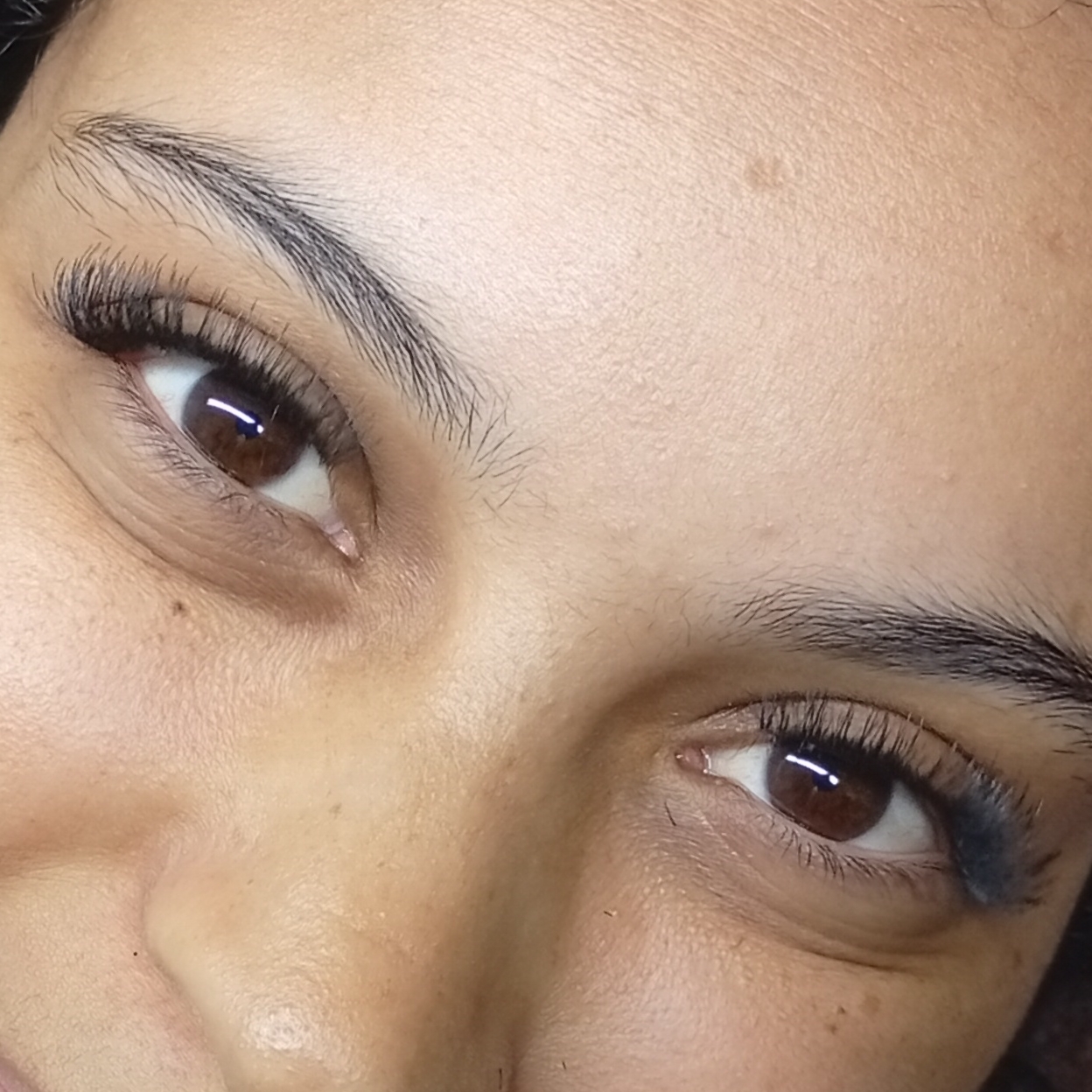 Cílios em tela - Efeito Soft Glam ( gatinho )