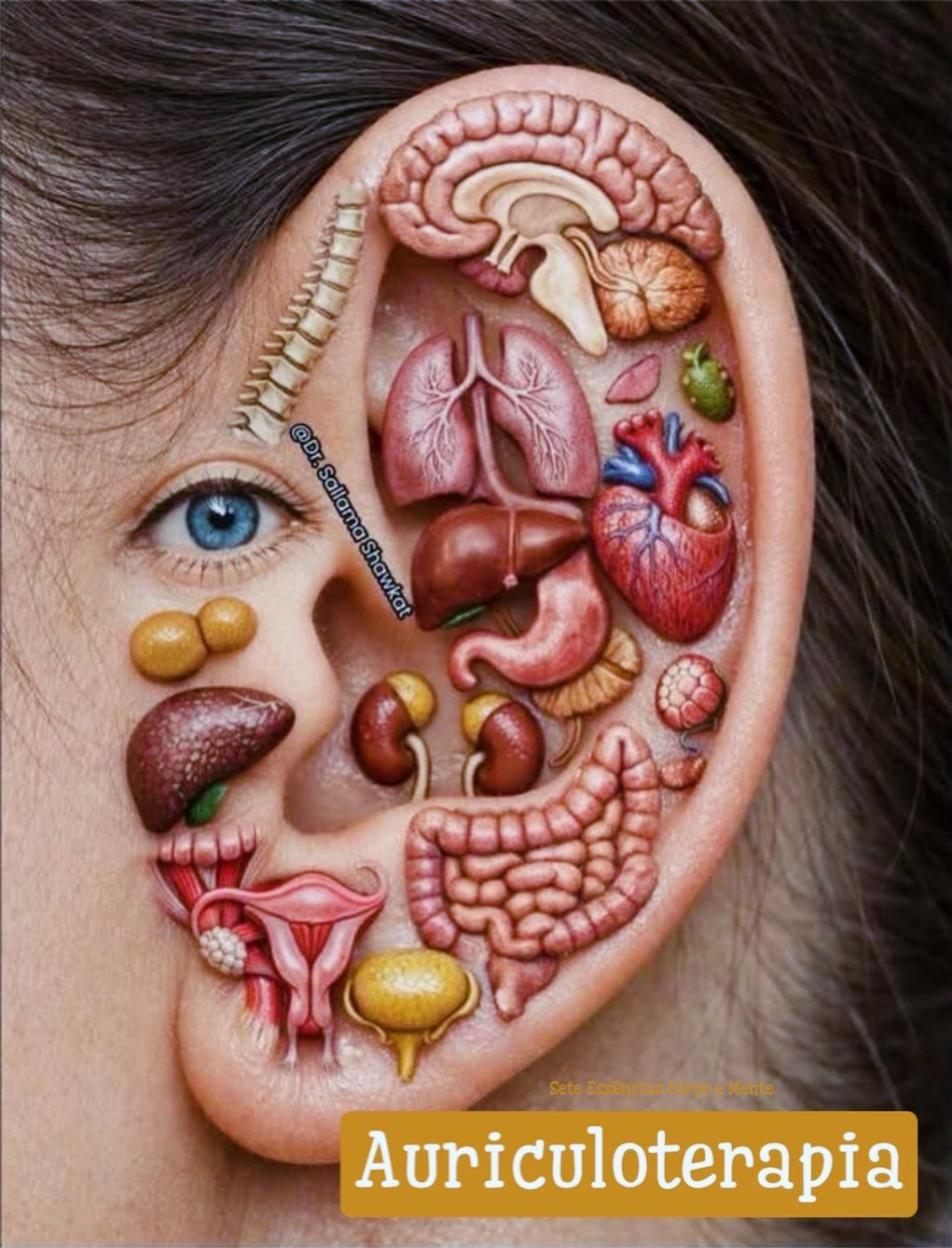 Auriculoterapia