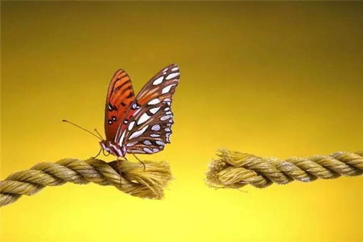 Terapia Holística - Cortes energético: O Corte Energético é uma técnica terapêutica de abordagem holística que busca promover a harmonização do campo energético e o equilíbrio entre corpo, mente, emoções e espírito. Energia de troca a partir de: